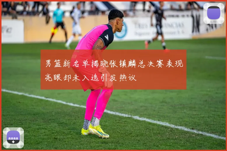 男篮新名单揭晓张镇麟总决赛表现亮眼却未入选引发热议