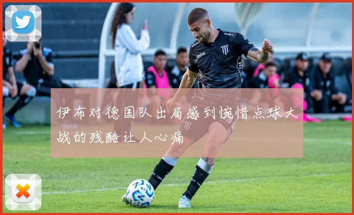 伊布对德国队出局感到惋惜点球大战的残酷让人心痛